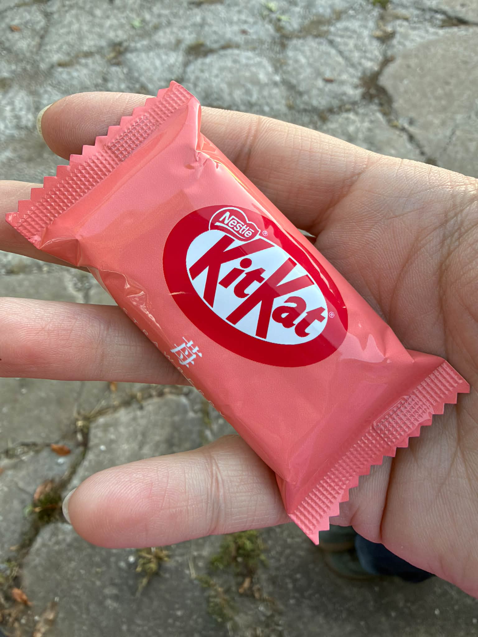 Japanese strawberry KitKats